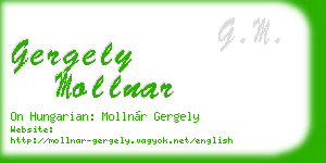 gergely mollnar business card